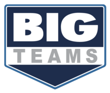 Логотип BigTeams CMYK.png