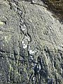 Blefjell seteraasen quartzite amfibolite amfibolgneiss IMG 1717.jpg