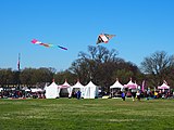 2018 Blossom Kite Festival, Washington, D.C.