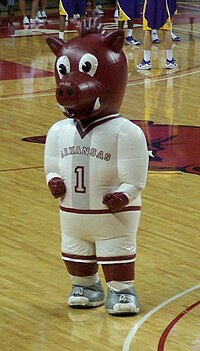 Boss Hog entertains fans at a basketball game in 2010. Boss Hog UArk.jpg