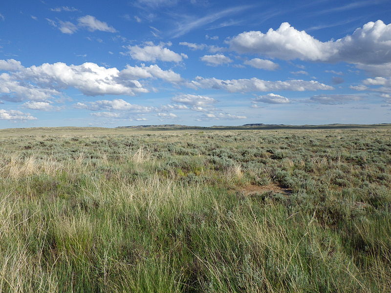 File:Brandon and Mickey Buttes (7495950520).jpg