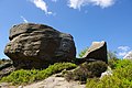 Brimham Rocks from Flickr (D) 17.jpg