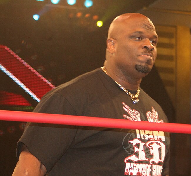 File:Brother Devon TNA 2010 (cropped).jpg