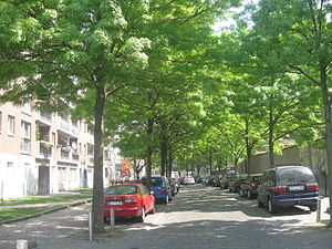 Avenue Philippe Thomas