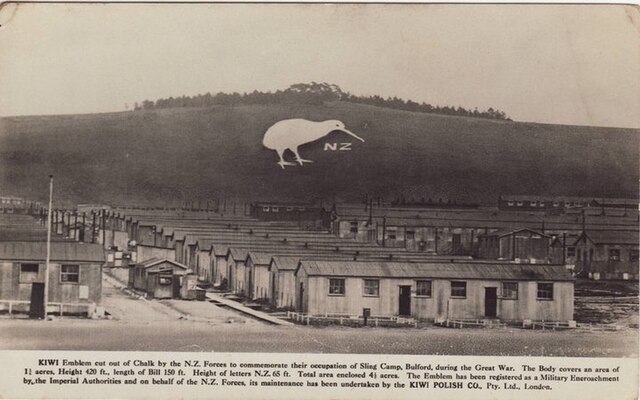 The Bulford Kiwi was created above the town of Bulford on the Salisbury Plain in Wiltshire, England in 1919.