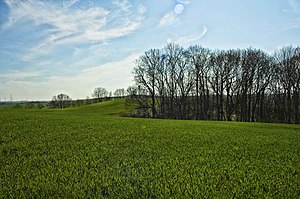 Wendish ramparts to the southwest