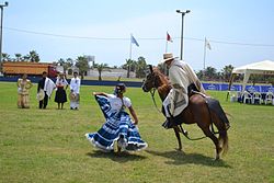 Concurso de caballos de Paso en la Asociación de Criadores de Caballos de Paso de Víctor Larco Herrera