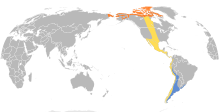 Calidris bairdii map.svg