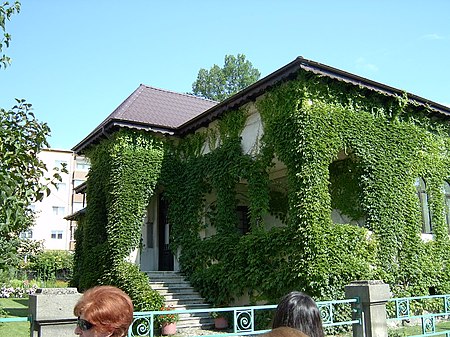 Casa Olaru.JPG