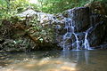 Patapsco Valley State Park