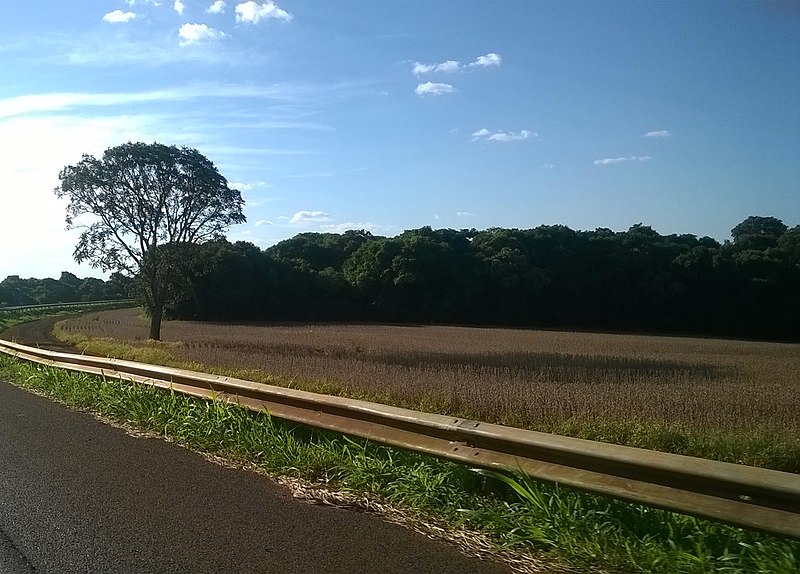 File:Cascavel - State of Paraná, Brazil - panoramio - LUIS BELO (21).jpg