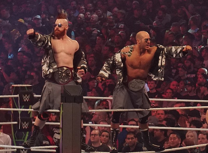 File:Cesaro&Sheamus Tag Champs WM34 crop.jpg