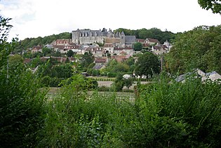 Château de Palluau-Frontenac - Vue générale.JPG