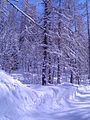 Chamonix-Mont-Blanc -- De Montroc au Planet