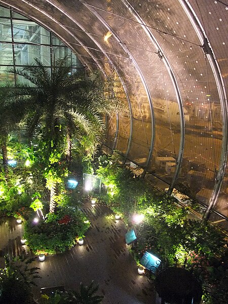 File:Changi Airport Terminal 3 butterfly garden.JPG