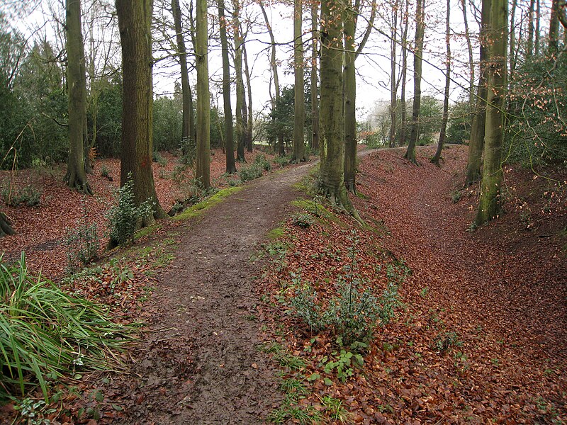 File:Cholesbury Camp vallum.jpg