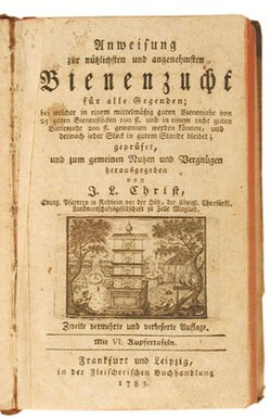 Plate from Johann Ludwig Christ Naturgeschichte, Klassifikation und Nomenklatur der Insekten vom Bienen Christ.jpeg