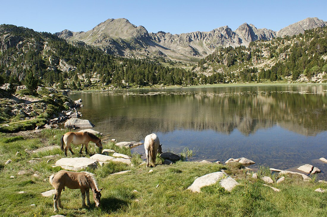 Estany Primer (sjö i Encamp)