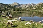 Circ dels Pessons (Encamp) - 29.jpg