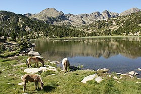 Az Estany Primer (Encamp) cikk szemléltető képe