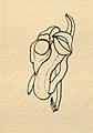 Cleisostomopsis roseus as syn. Sarcanthus roseus (1852) (Detail)