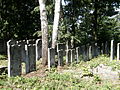 Gravestones in a Jewish cemetery in Radomsko