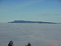 The Coburg Hills in Lane County poking through fog, seen from Spencer Butte