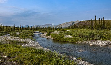 Ivvavik National Park, Yukon