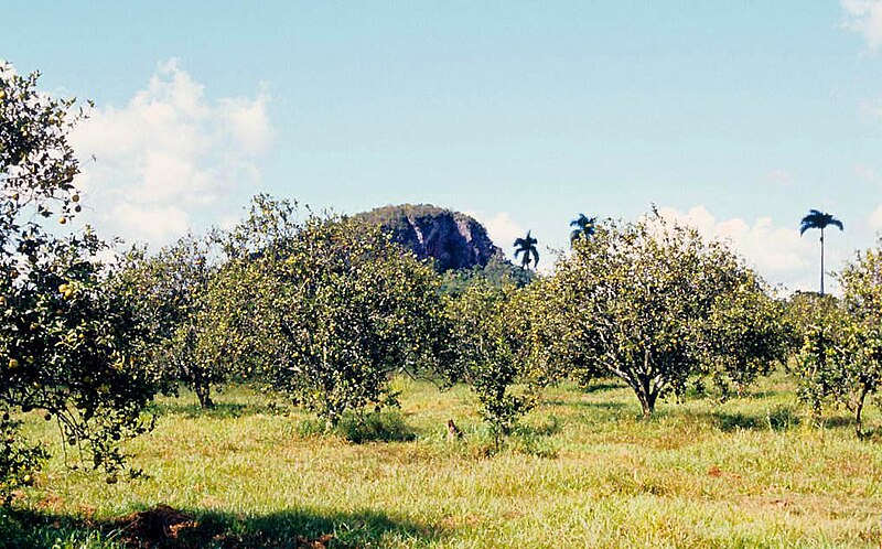 File:Cuba, oeste (1983) 01.jpg