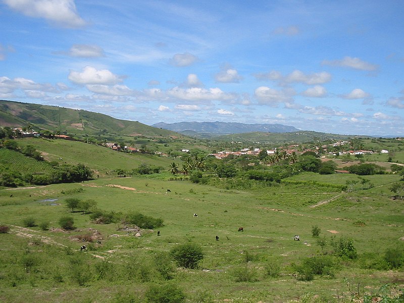 File:Cumaru-Zona-rural.jpg