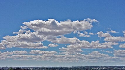 Cumulus humilis