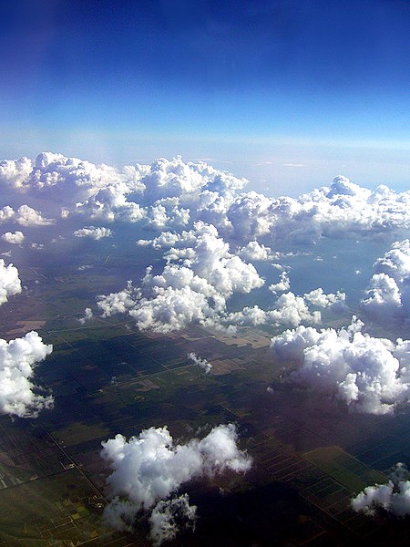 File:Cumulus clouds seen from 10,000 meters above the ground, 2010.jpg