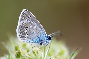 Bu görüntünün açıklaması, aşağıda da yorumlanmıştır