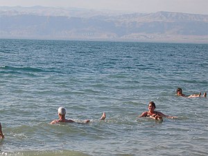 Salzwasser: Eigenschaften, Lebensräume, Übersicht