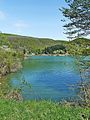 Diga del Brasimone-Brasimone dam