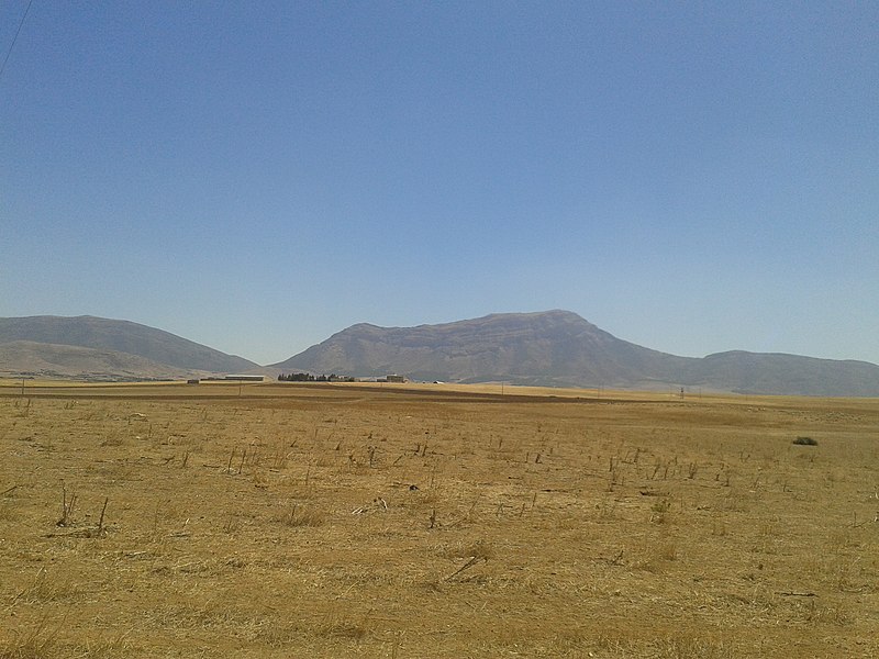 File:Djebel guerioun.jpg