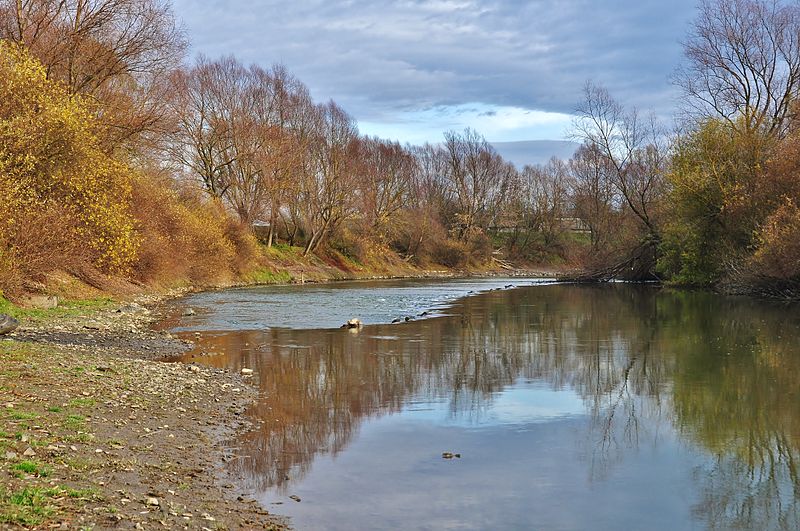 File:Dniester River in Kolodruby.JPG