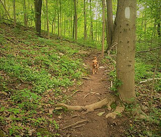 <span class="mw-page-title-main">Angels Rest Cluster</span> Protected natural area in Virginia, United States