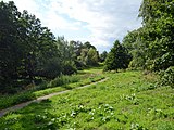 Donington and Albrighton Nature Reserve 08.jpg