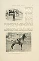 Dressage en liberté du cheval d'obstacles (Page 29) BHL20167828.jpg