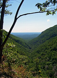 <span class="mw-page-title-main">Platte Clove</span> Valley in New York State, USA