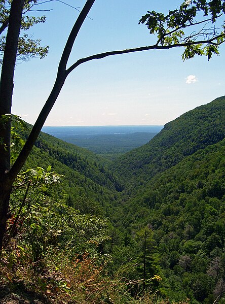 File:East view over Platte Clove, NY.jpg