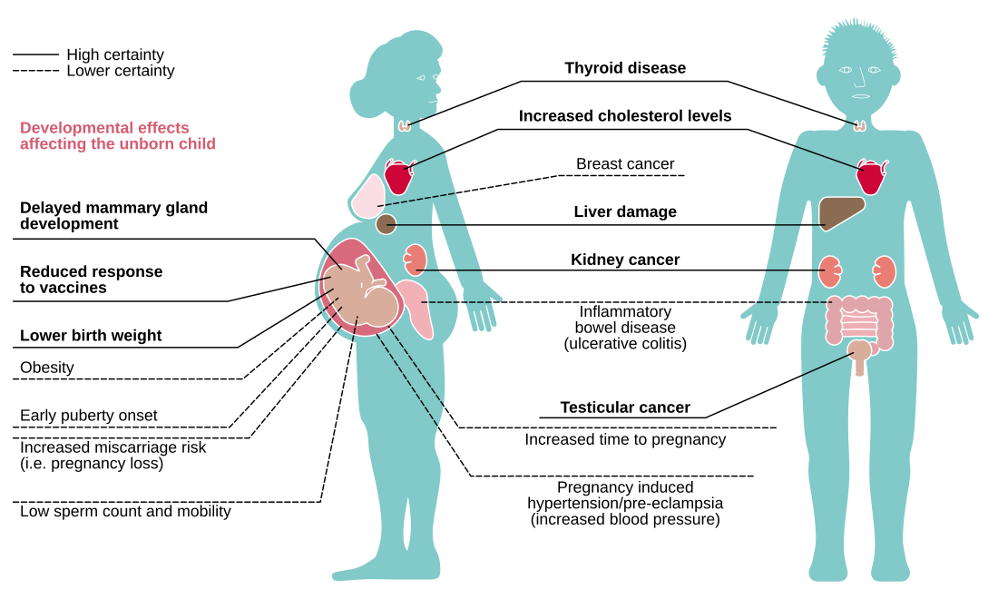 File:Effects of exposure to PFASs on human health.svg