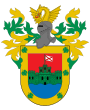 Escudo de Sivdad Valdivia Ciudad de Valdivia באלדיביא