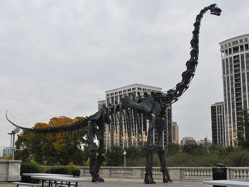 File:FMNH Brachiosaurus.JPG