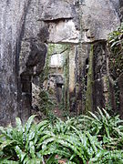 Pohled na chodbu ve starých kamenných lomech v Crazannes s kapradinami na úpatí vápencových útesů.