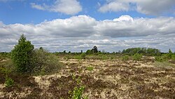 Fagnes de Malchamps - Berizenne Turu (2) .jpg