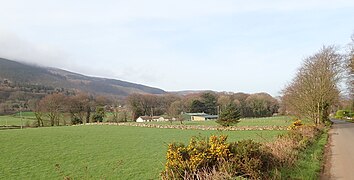 Farmland between Aghadavoyle Road and Dromintee Road - geograph.org.uk - 6081734.jpg