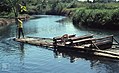 Ferry River. Man & bamboo raft. West of Kingston (24442453098).jpg