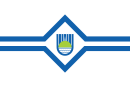 Flag of Birobidzhan.svg